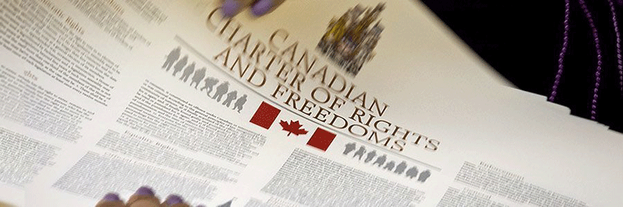 Course Image Rights and Freedoms