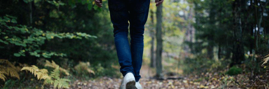 Close-up of legs walking through woods